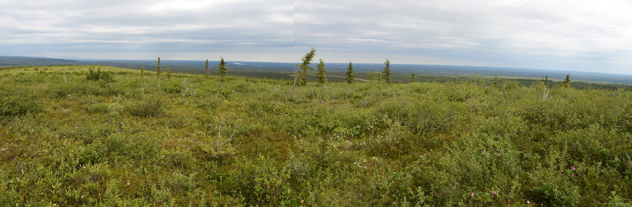 08B View From Tetlit Gwinjik Territorial View Point On The Dempster Highway On Day Tour From Inuvik To Arctic Circle